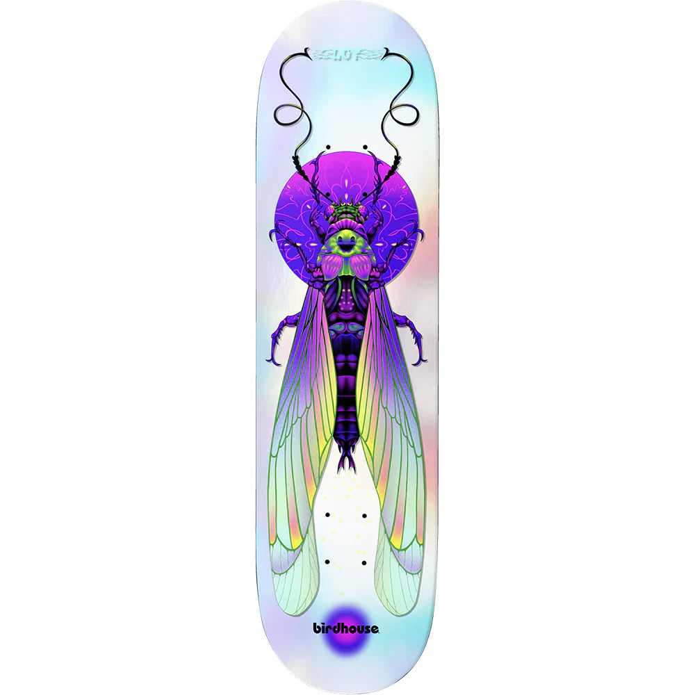 BIRDHOUSE Loy Ilham Insects Deck 8.5